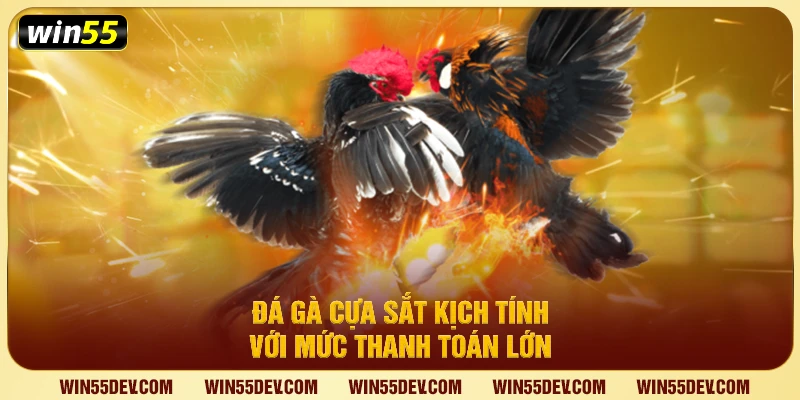 Đá Gà Win55 – Trải Nghiệm Đấu Gà Trực Tuyến Uy Tín