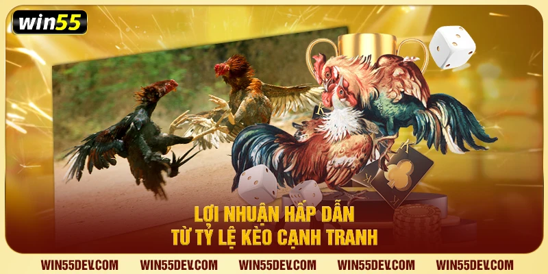 Đá Gà Win55 – Trải Nghiệm Đấu Gà Trực Tuyến Uy Tín