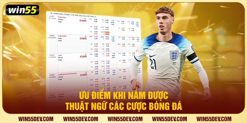 Thuật Ngữ Cá Cược Bóng Đá - Bộ Từ Điển Vàng Tại Win55